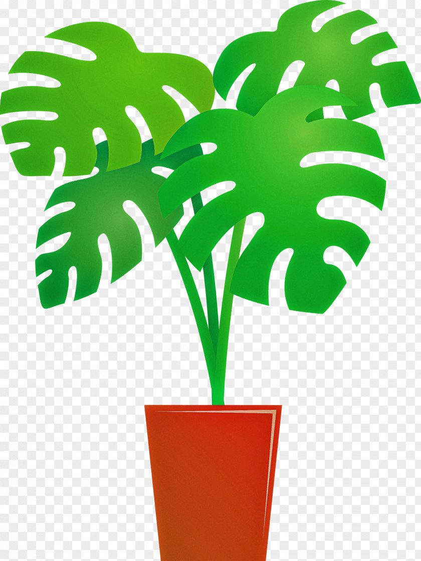 Monstera Tropical Leaf PNG