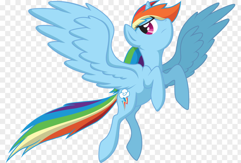 My Little Pony Rainbow Dash Fluttershy Winged Unicorn PNG