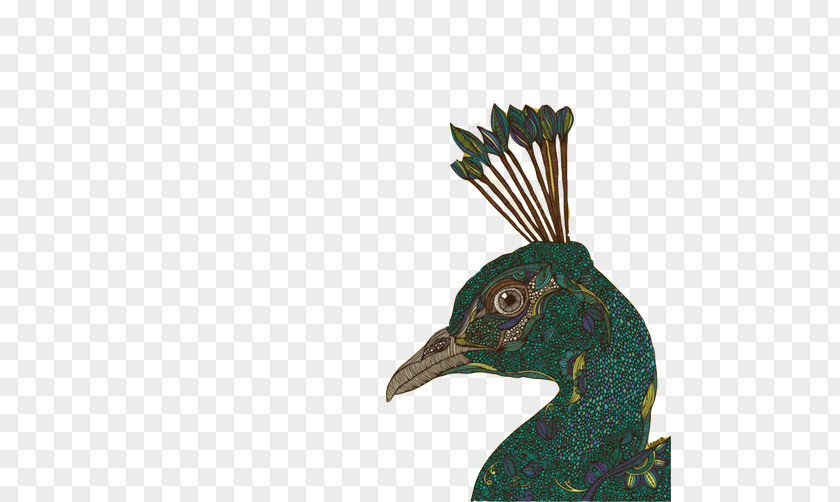 Peacock Stock Image Avatar Wall Decal Drawing Work Of Art PNG