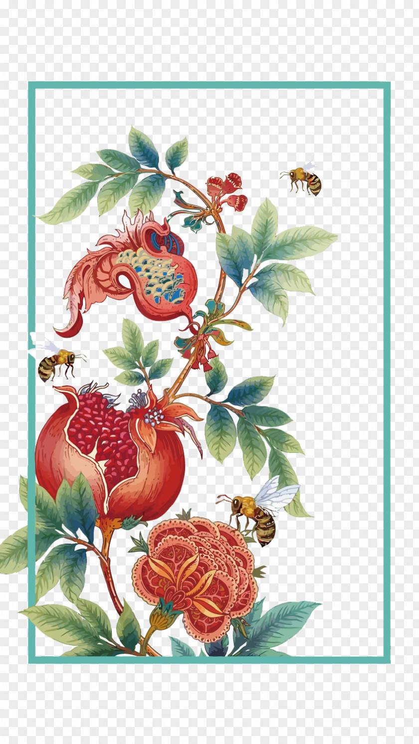 Vector Pomegranate Flower Month Illustration PNG