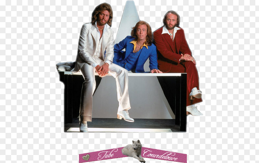 Bee Gees Advertising Public Relations Communication Human Behavior PNG