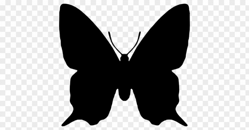 Butterfly Silhouette Papillon Dog Art PNG
