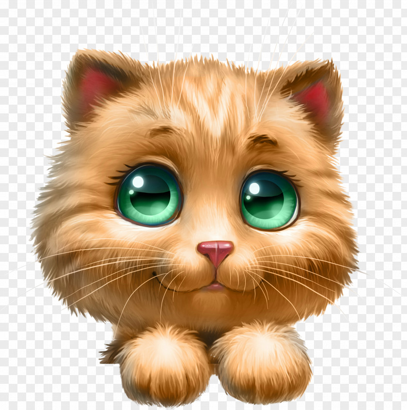 Cats Kitten Cat Clip Art PNG