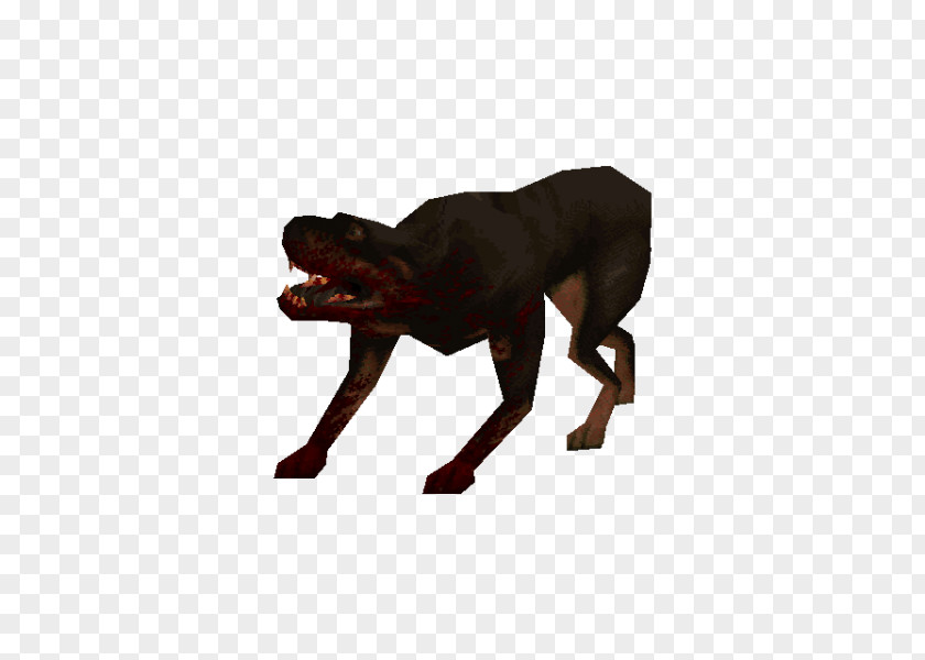 Dog Breed Rottweiler QuakeC PNG