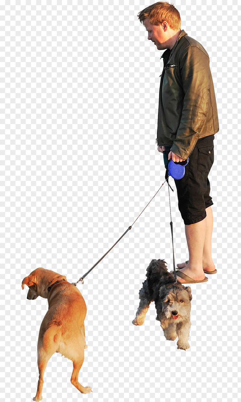 Dogs Dog Walking Clip Art PNG