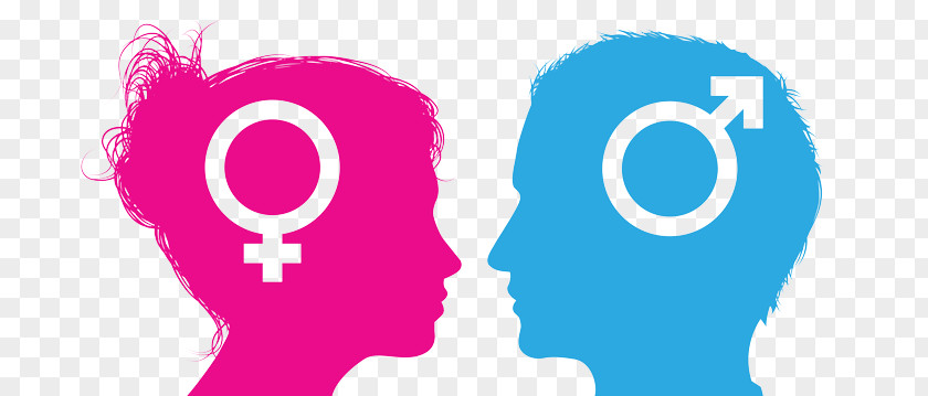 Gender Reveal Role Stereotype Woman PNG