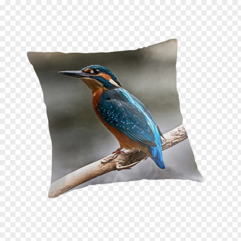 Perch Throw Pillows Beak PNG