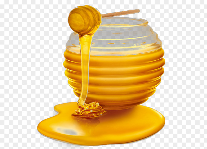 Bee Honey Clip Art PNG