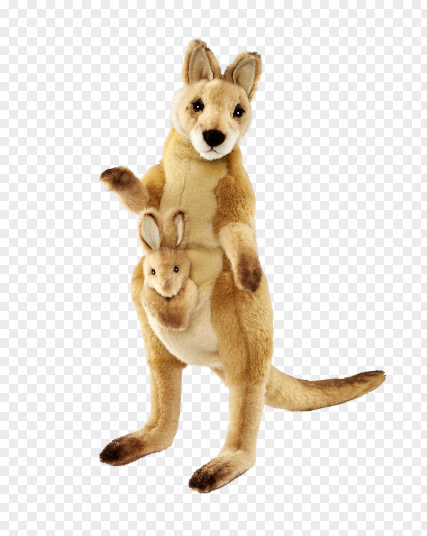 Cat Red Fox Kangaroo Stuffed Animals & Cuddly Toys Tail PNG