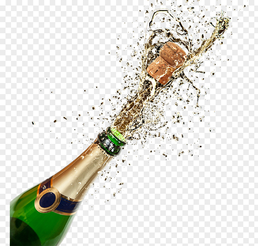 Champagne,Champagne Champagne Glass Rosé Bottle PNG