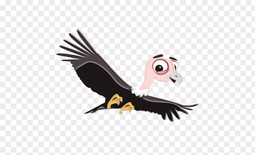 Condor California Bird Of Prey Vulture Cartoon Beak PNG