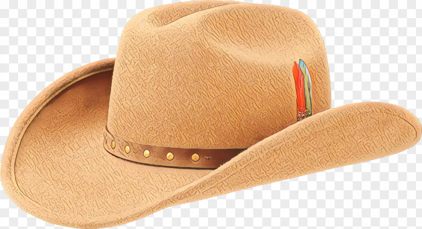 Costume Hat Fedora Cowboy PNG