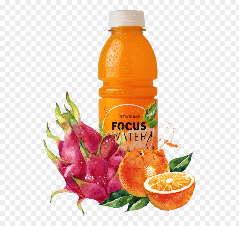 Fruit Water Orange Drink Pitaya Royalty-free PNG