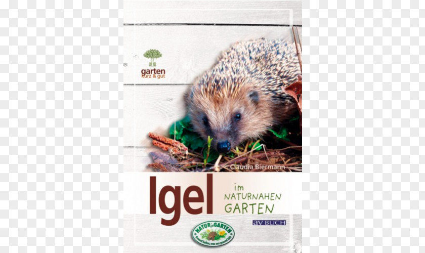 Hedgehog Domesticated Igel Im Naturnahen Garten Porcupine Small Animal Supply PNG