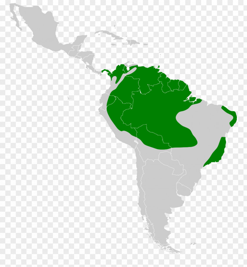 Map Latin America Giant Cowbird World Screaming PNG