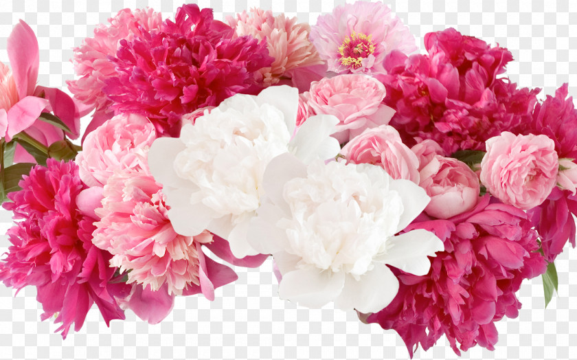 Peony Floral Design Flower Photography PNG
