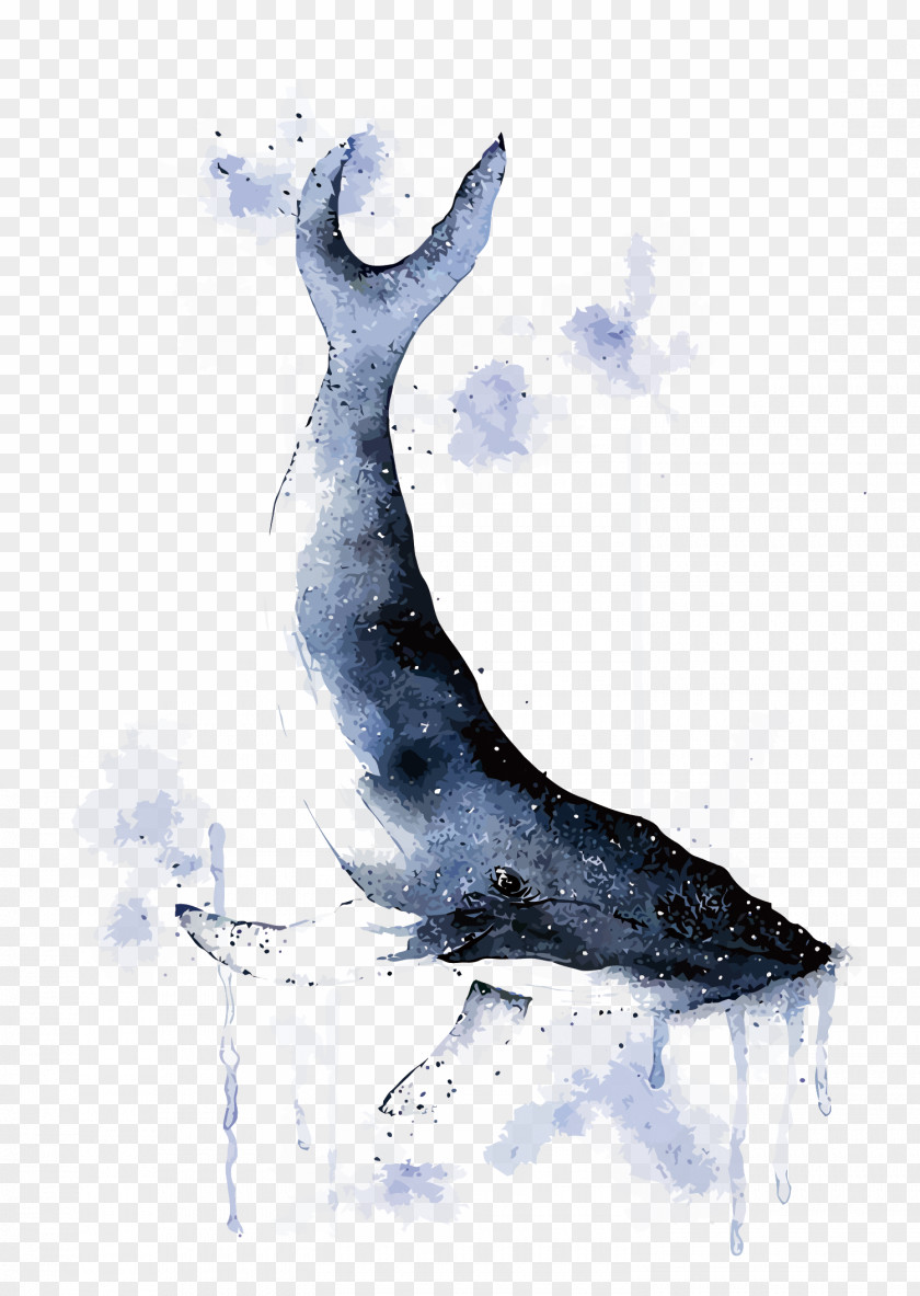 Vector Ink Whale Watercolor Painting Illustration PNG
