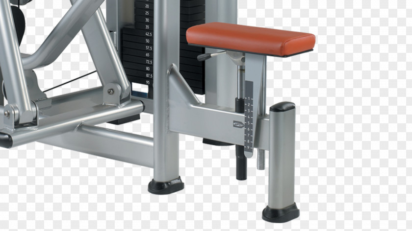 Barbell Row Exercise Equipment Calf Raises Strength Training PNG