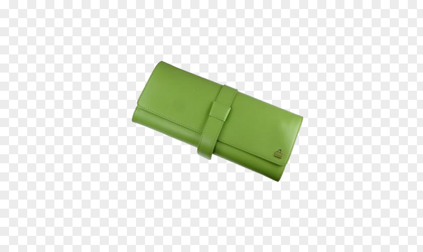 Green Women's Wallets USB Flash Drive Rectangle PNG