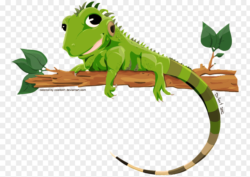 Iguana Transparent Image Lizard Green PNG