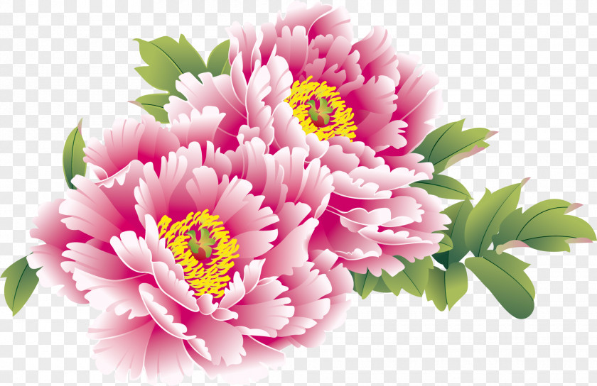 Creative National Day Flower China Moutan Peony Chinese New Year PNG