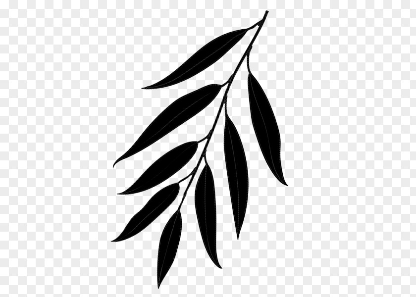 M Leaf Flower Plant Stem Font Black & White PNG