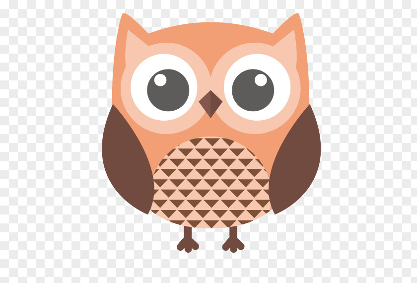 Owl Stock Illustration PNG