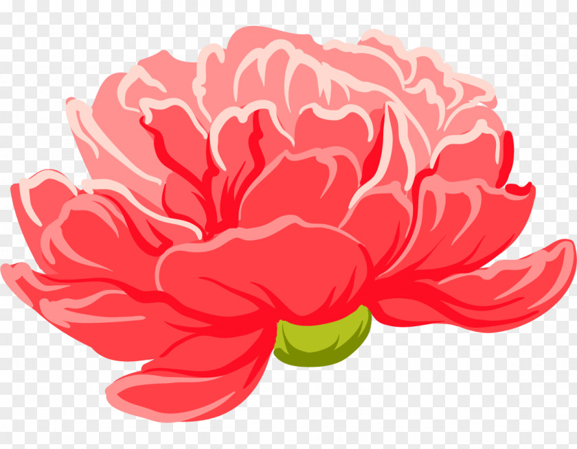 A Peony Flower Moutan Floral Design PNG