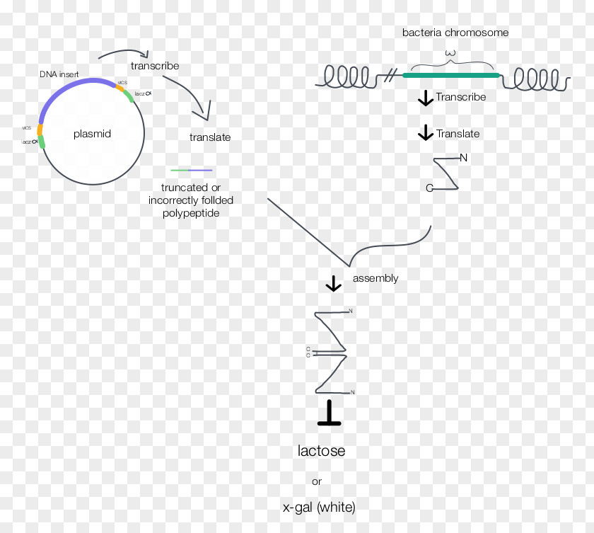 Design Document Line Angle PNG