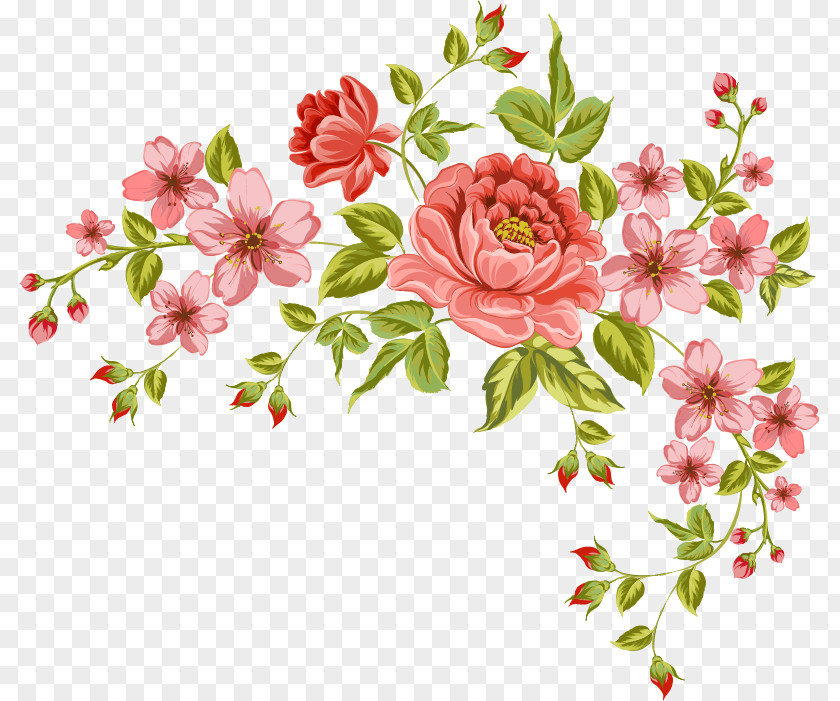 Flower Drawing PNG