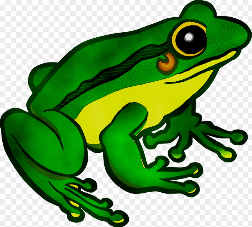 Flying Frog Image Toad Royalty-free PNG