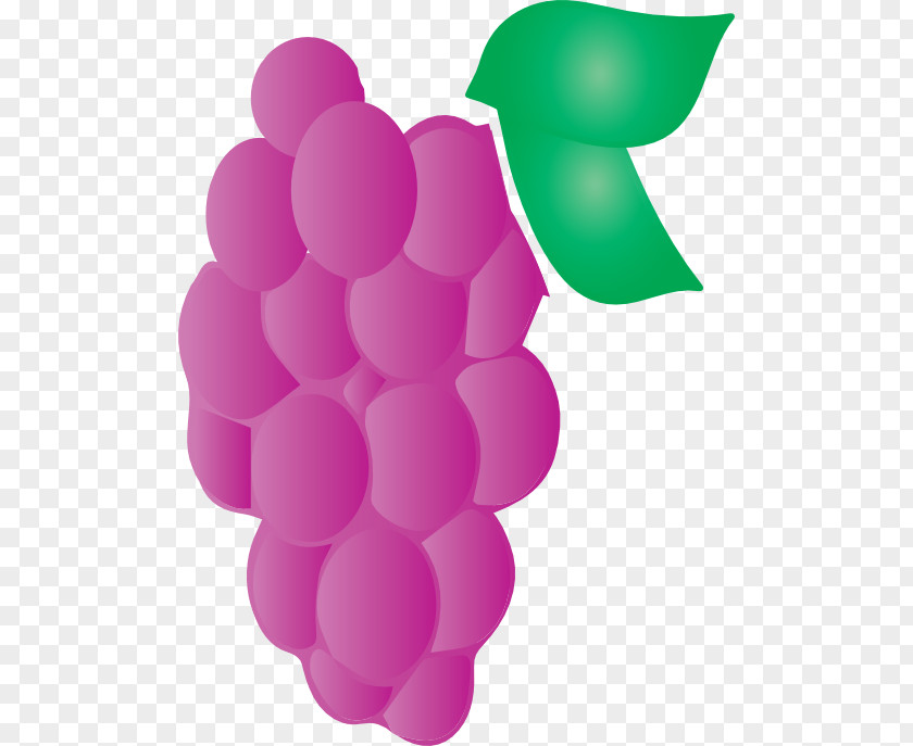 Grape Pink M PNG