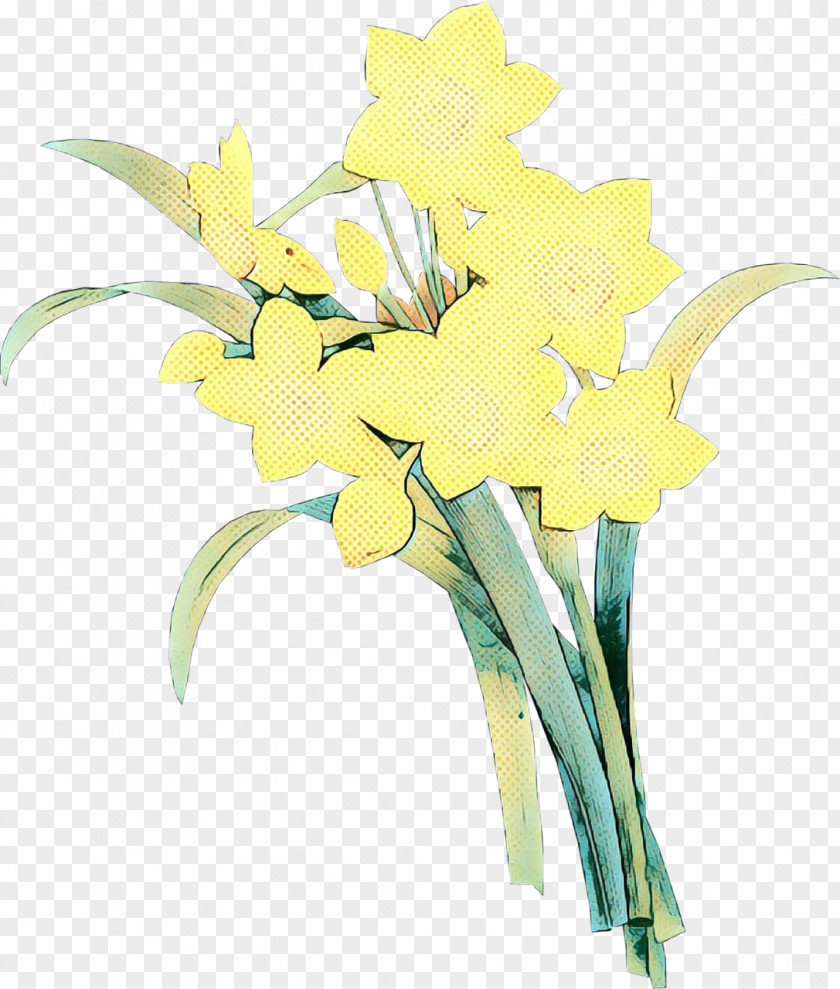Iris Amaryllis Family Flowers Background PNG