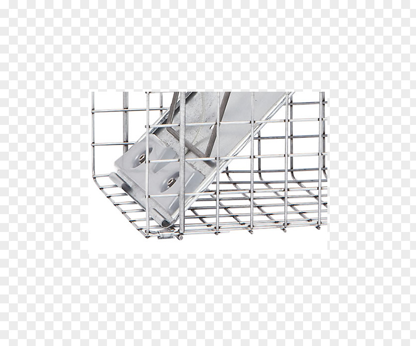 Mouse Trap Trapping Raccoon Squirrel Cage European Rabbit PNG