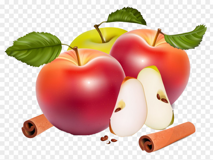Apple Slices Of Colorful Tropical Southeast Asia Euclidean Vector Royalty-free Clip Art PNG