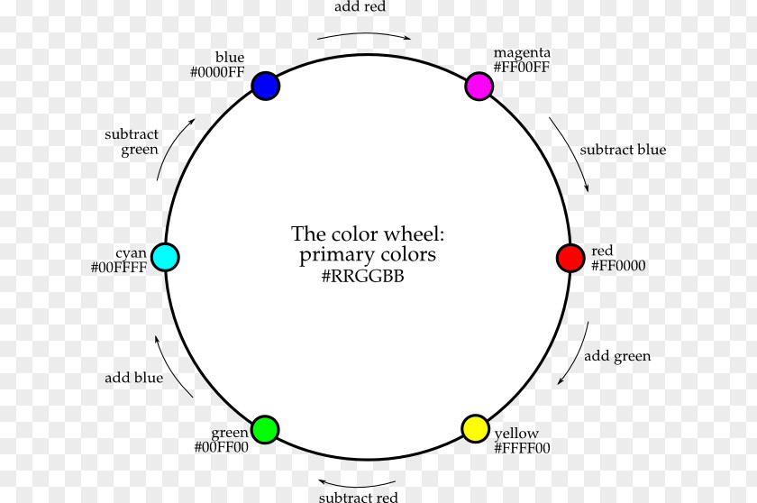 Circle Point Angle Document Organism PNG