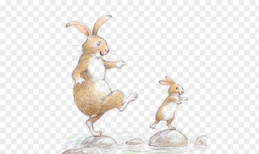 Cute Bunny Drawing Rabbit Illustrator Childrens Literature Illustration PNG