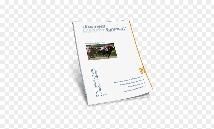 Executive Summary Book PNG