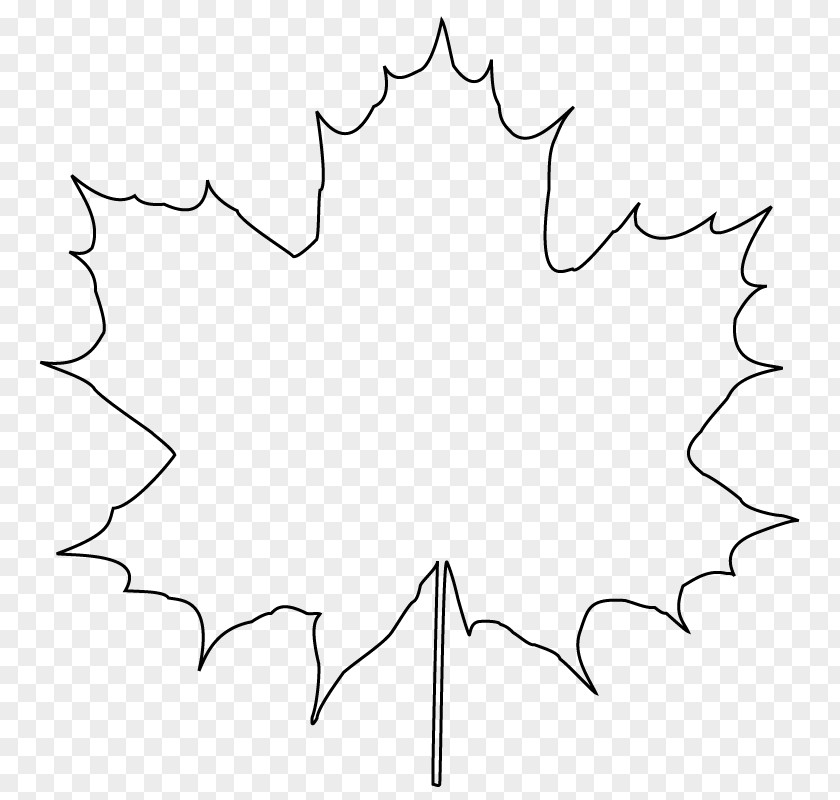 Leaf Graphic Line Symmetry Black And White Pattern PNG