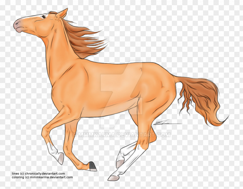 Line Art Tail Horse Cartoon PNG