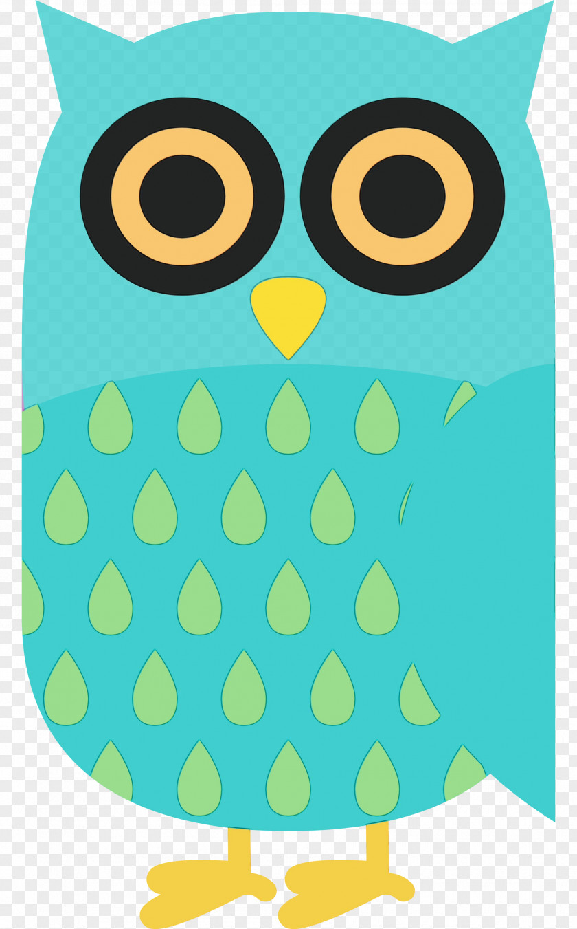 Owl M Green Pattern Beak Line PNG
