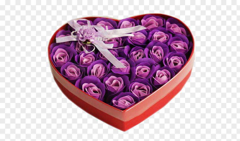 Purple Roses Gift Beach Rose Rosaceae PNG