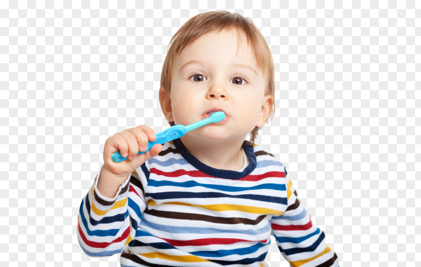 Toothbrush Electric Tooth Brushing Human PNG