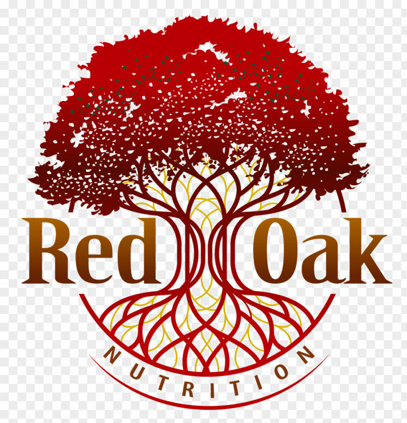 Tree Logo Northern Red Oak Root PNG