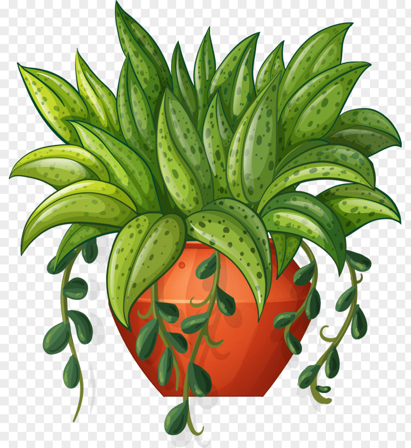 Bonsai Button Vector Graphics Flowerpot Illustration Plants Design PNG