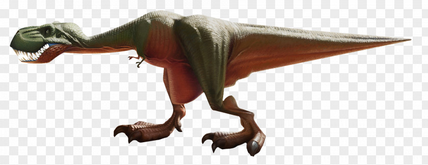 Dinosaur Side Velociraptor Tyrannosaurus PNG
