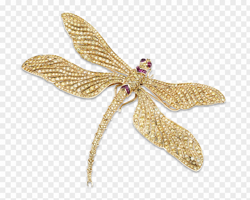 Fancy Pendant Brooch Diamond Color Jewellery PNG