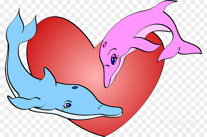 Gif Love Whales, Dolphins And Porpoises Clip Art Illustration PNG