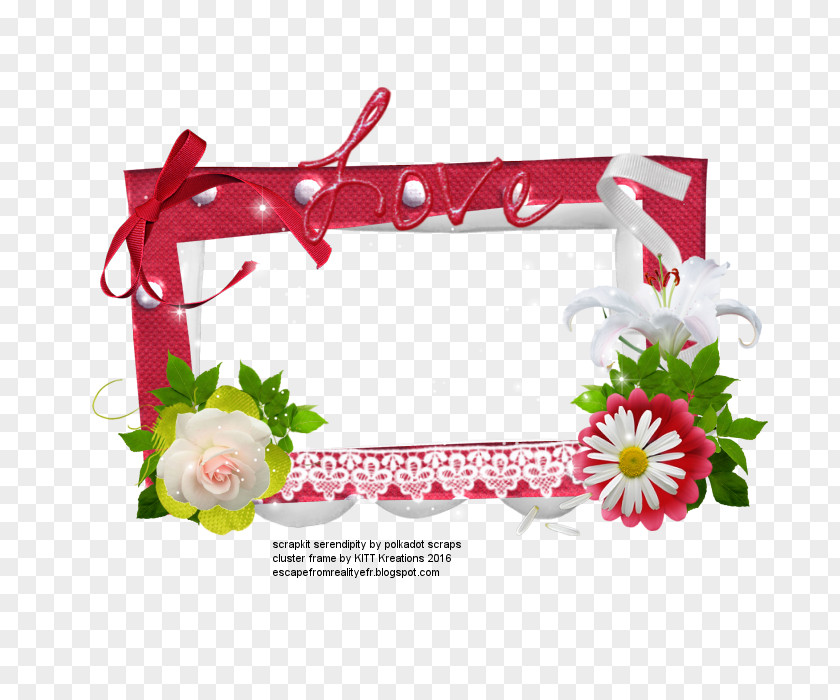 Serendipity Floral Design Picture Frames Cut Flowers PNG