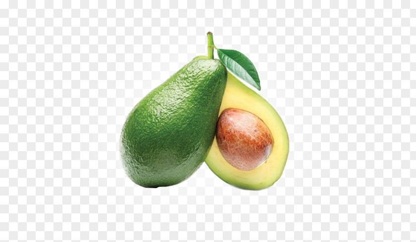 Superfood Tree Avocado PNG